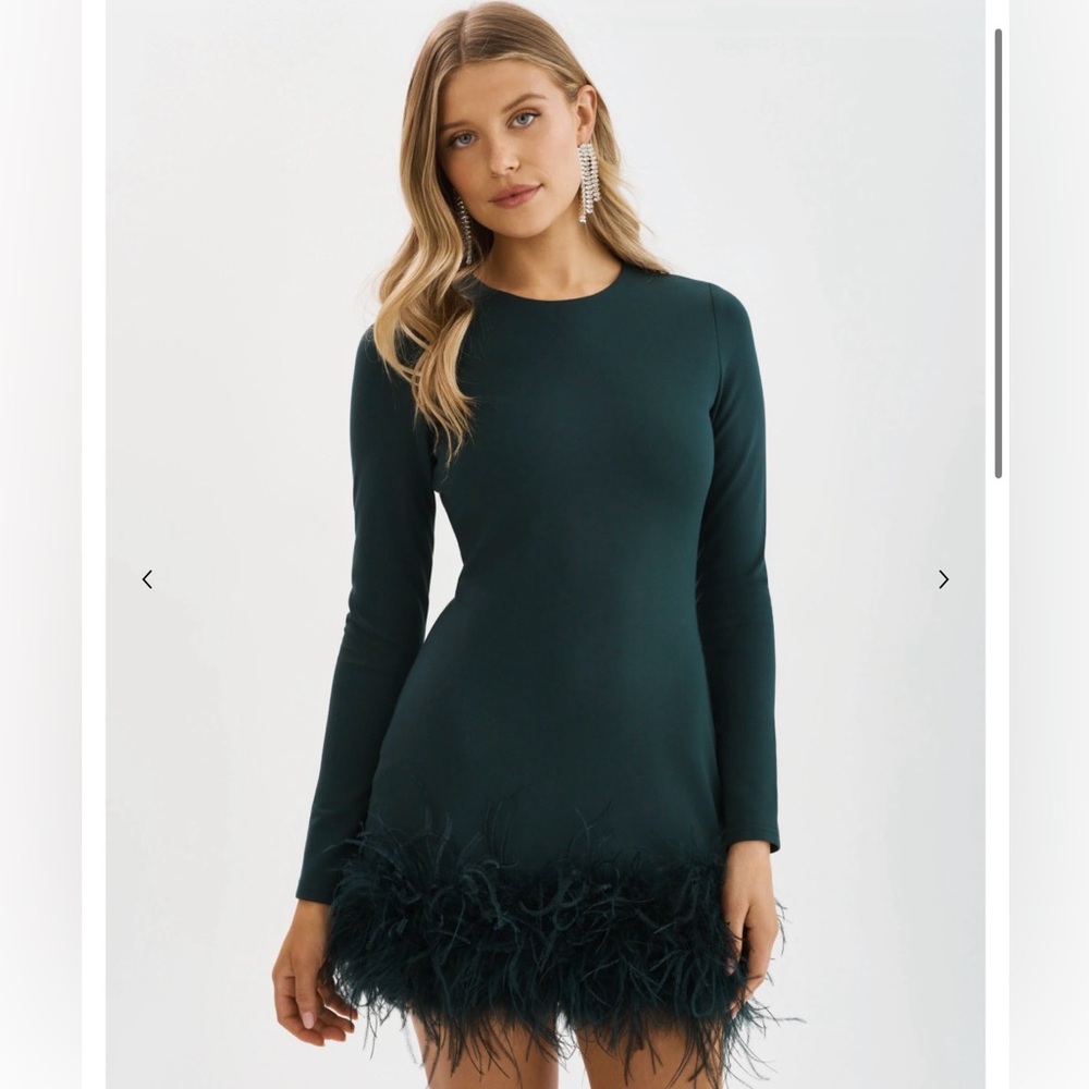Lamarque Dark Jade BAHIRA Míni Dress NWT XS